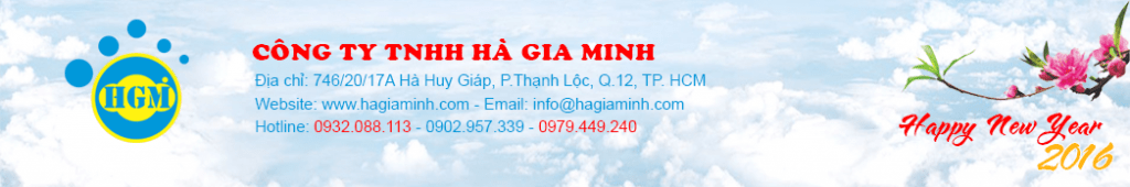 Sản xuất túi vải, Thiết kế Website, Hosting, Domain, SSL